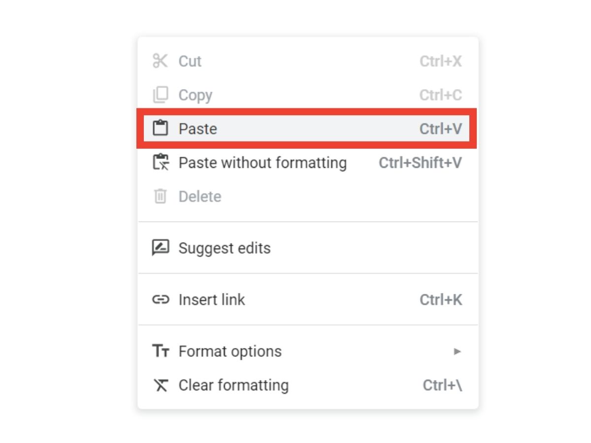 The paste feature from Google Docs is being highlighted