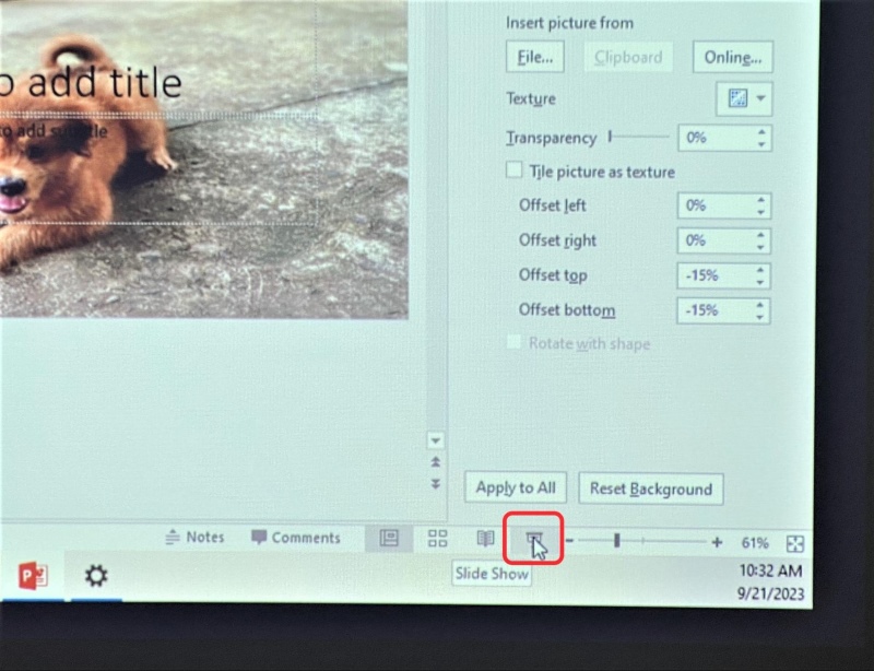 select the Slide Show button on the PowerPoint