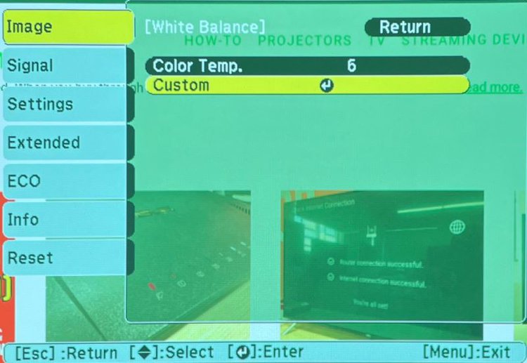 Custom in White Balance settings on Epson projector while being green-tint
