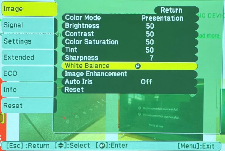 White Balance settings on Epson projector while being green-tint