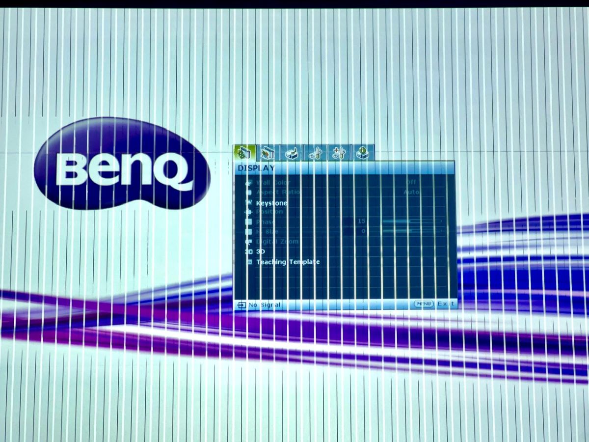 black & white vertical lines on a benq projector screen