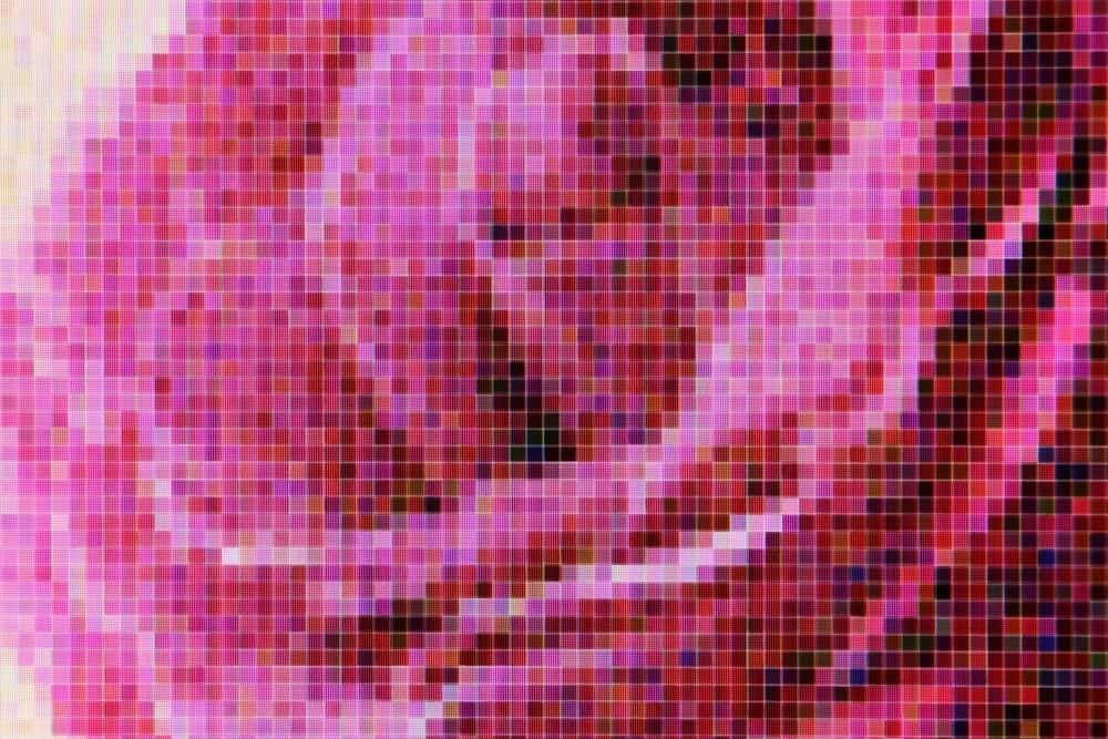 a rose picture with many pixels