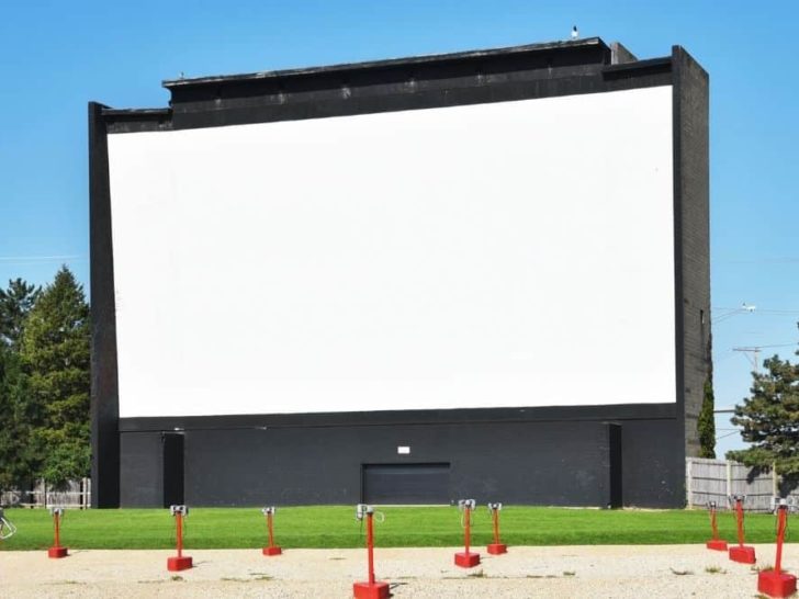 Where can I Rent a Projector and Screen? Top 5 Companies