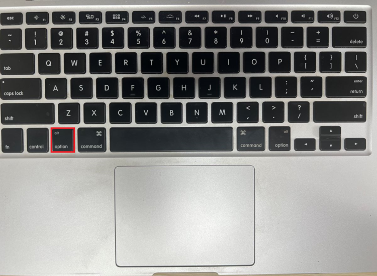 Option button is being highlighted on the Mac keyboard.png