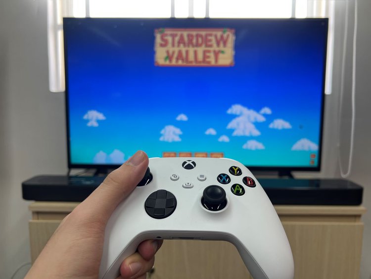 Xbox controller is playing Stardew Valley on Sony TV