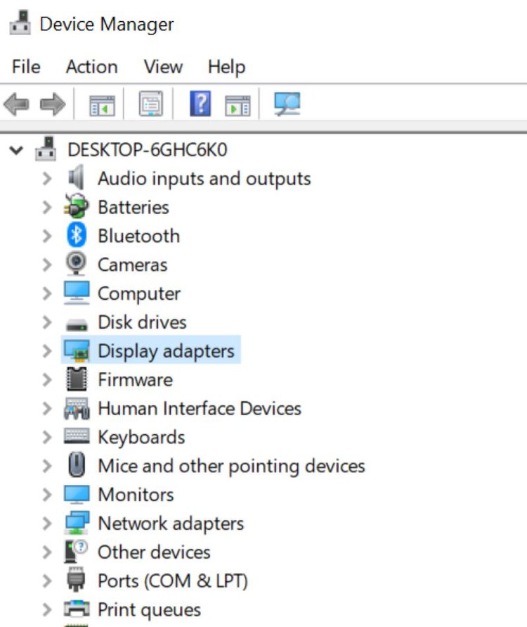 Display adapters on the Device Manager of Windows laptop