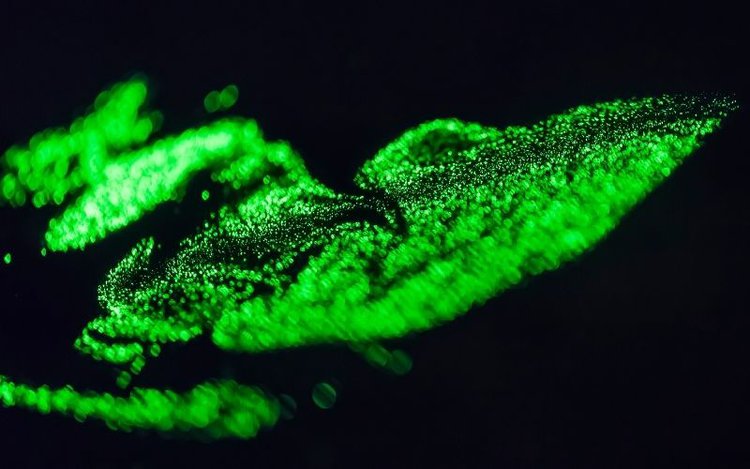 Green laser light show