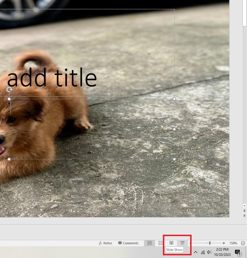 Slide Show icon in PowerPoint