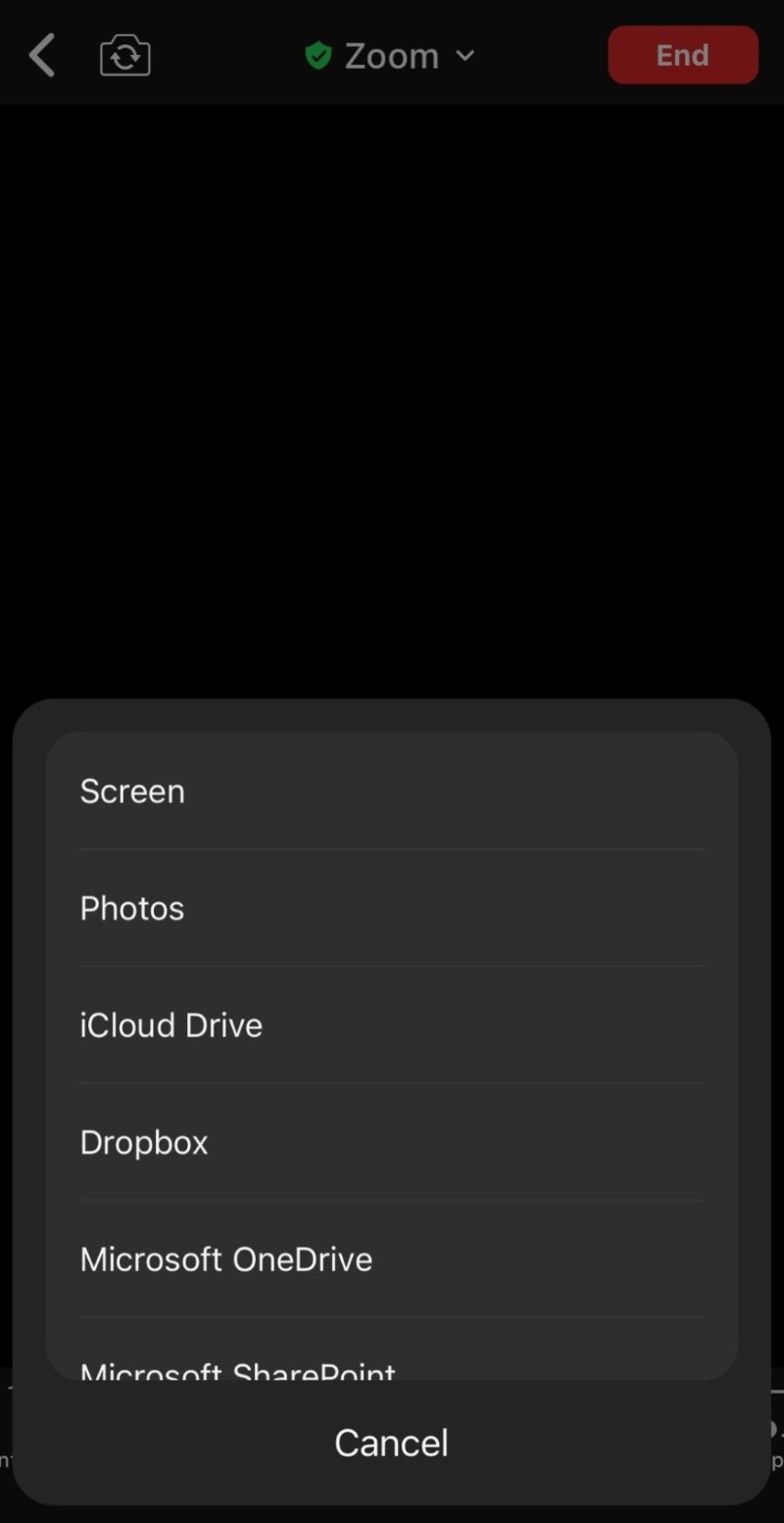 list of options to share in the Zoom mobile app