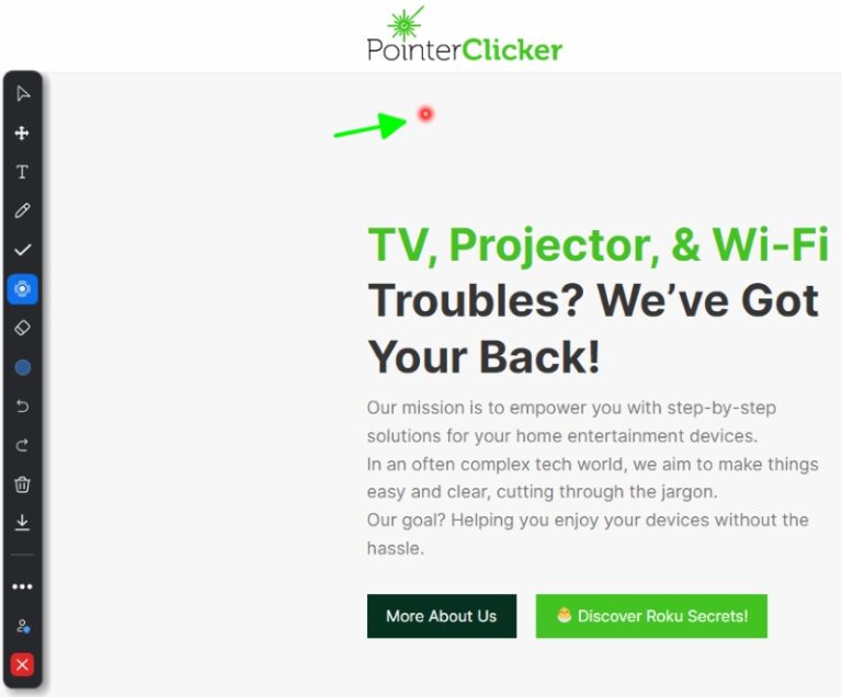 how to use pointer in zoom presentation