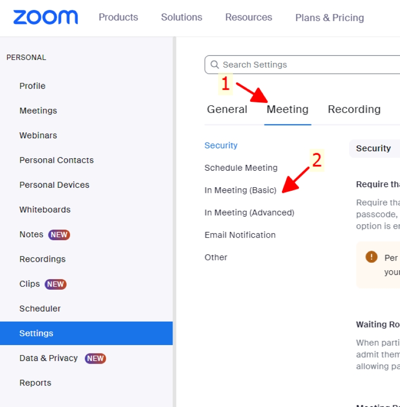 select In Meeting (Basic) setting on Zoom