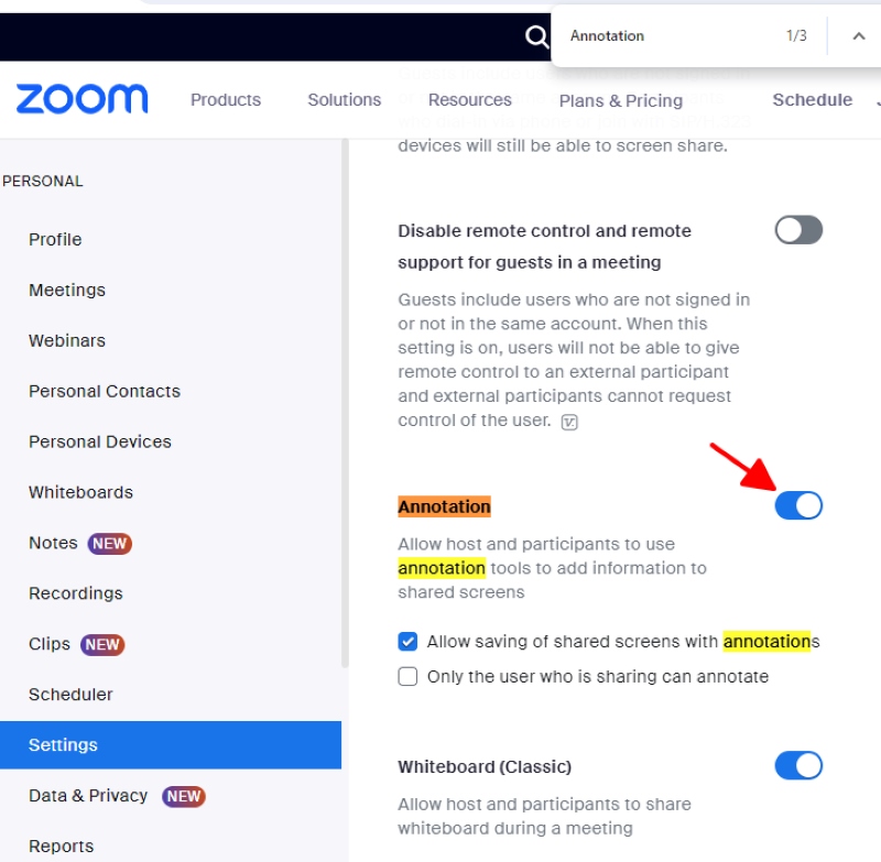 switch ON the Annotation setting on Zoom