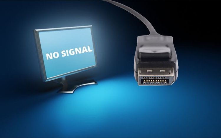 Display cable and no signal monitor