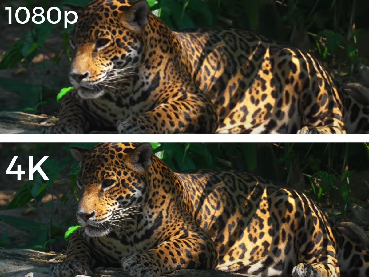 The image is a comparison between 4K resolution and 1080p