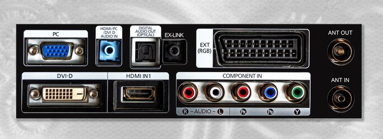 Component Video Ports