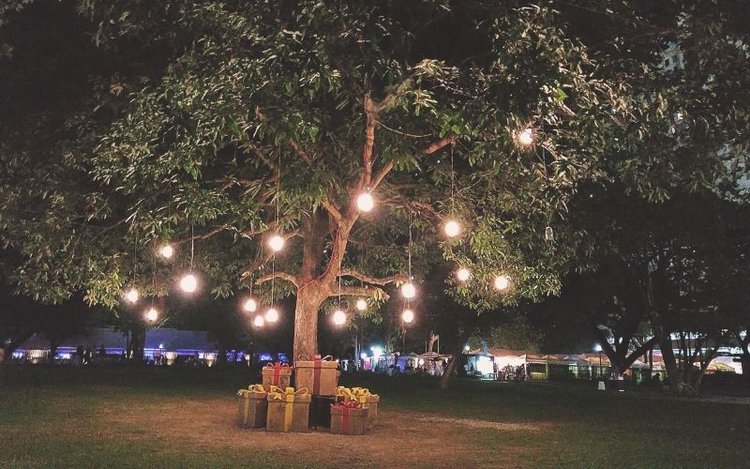 Decorating lights hanging on tree