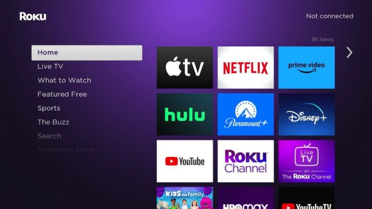 Can I Take My Roku to a Hotel? Absolutely! Follow These Simple Steps ...