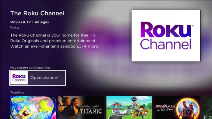 How To Effortlessly Connect Your Roku to a Sceptre TV - PointerClicker.com