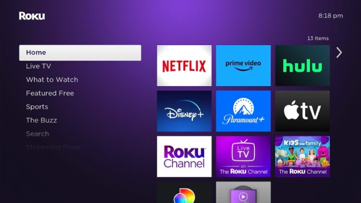 Do You Need a TV Provider for Your Roku? - PointerClicker.com