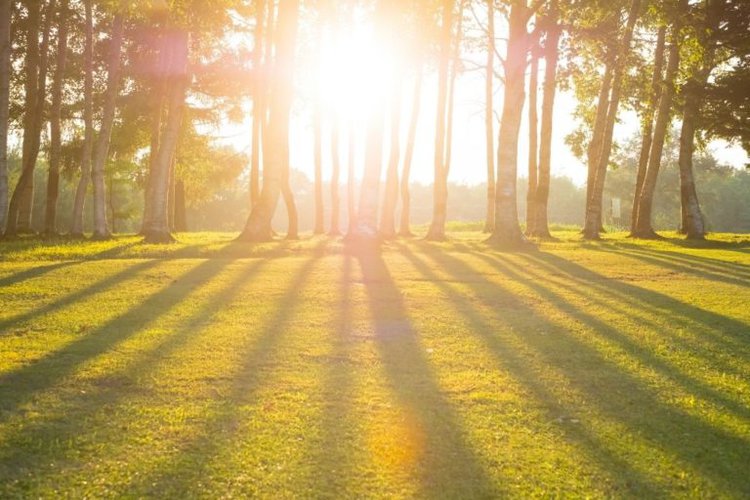 how many lumens is the sun