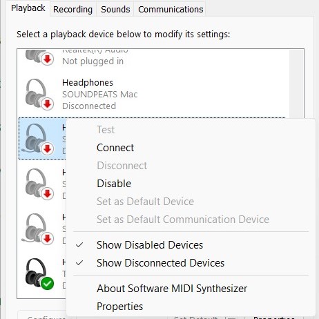 Show Disabled Devices and Show Disconnected Devices options ticked