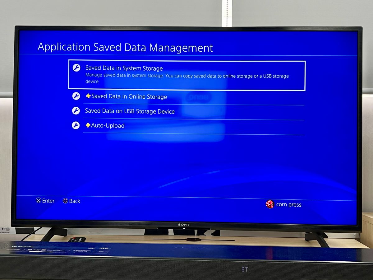 application data saved management of ps4