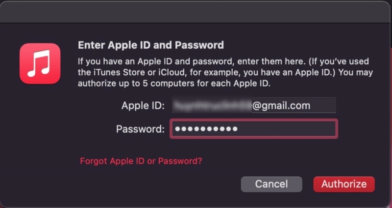 input Apple ID info then Authorize a Macbook