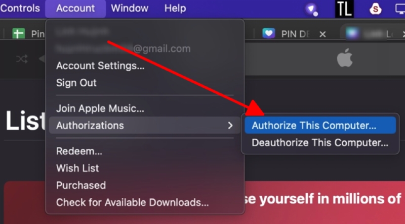select the Authorize This Computer option on the Macbook screen