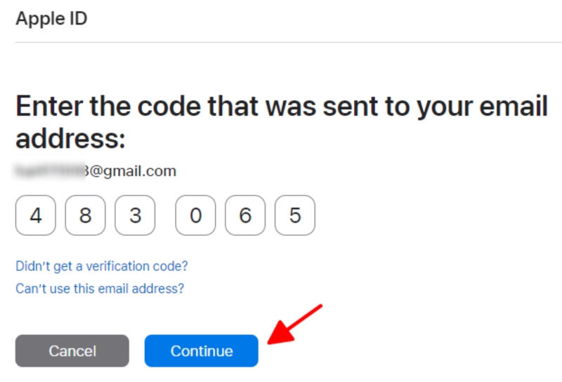 Enter the code that was sent to your email address page