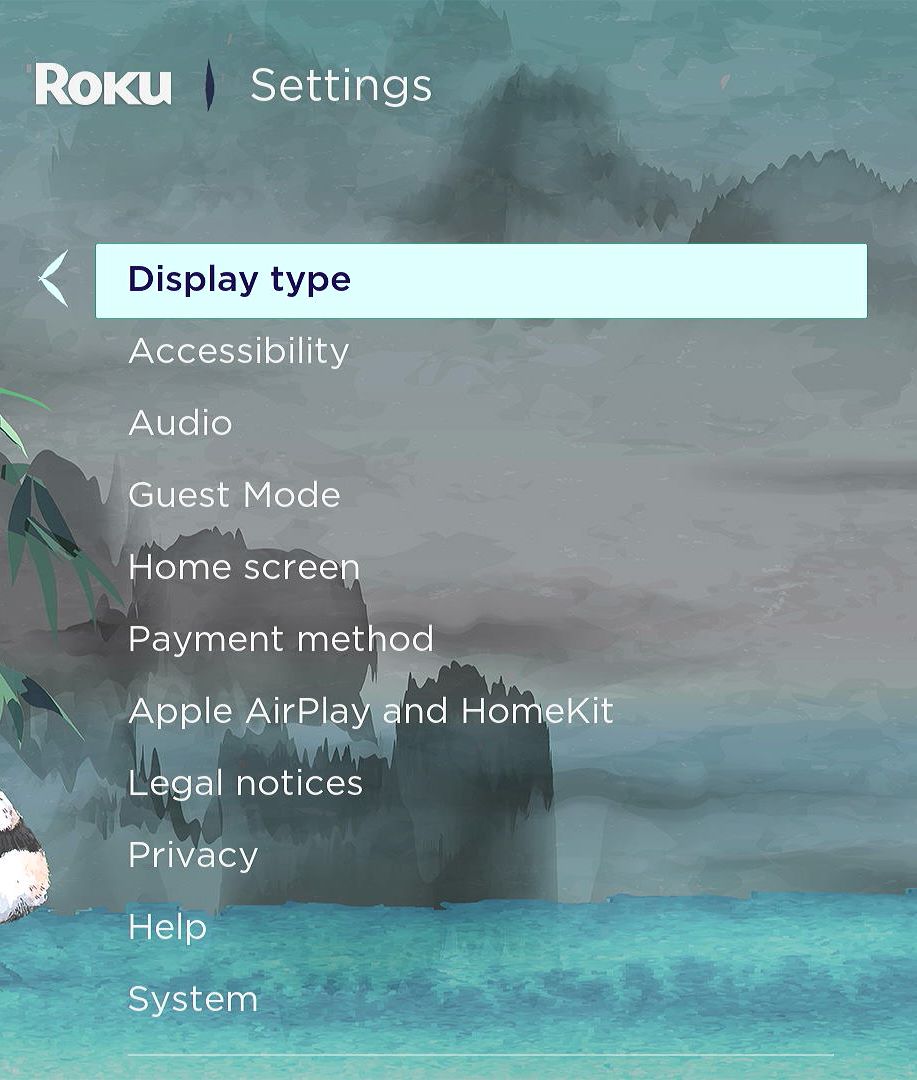 display type option is highlighted on a roku