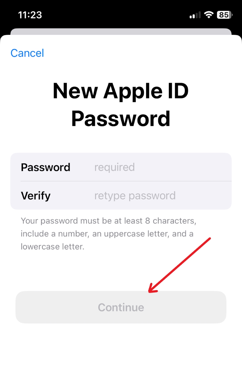 highlighted Continue option on the New Apple ID password screen