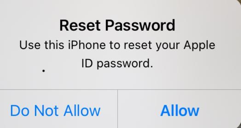 select Allow to reset the password on iPhone screen