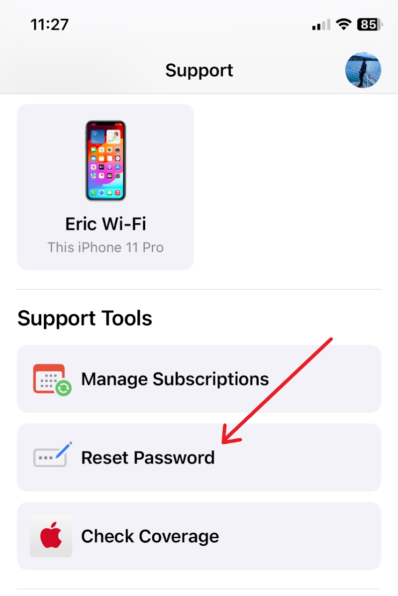 select Reset Password on the Apple Support app