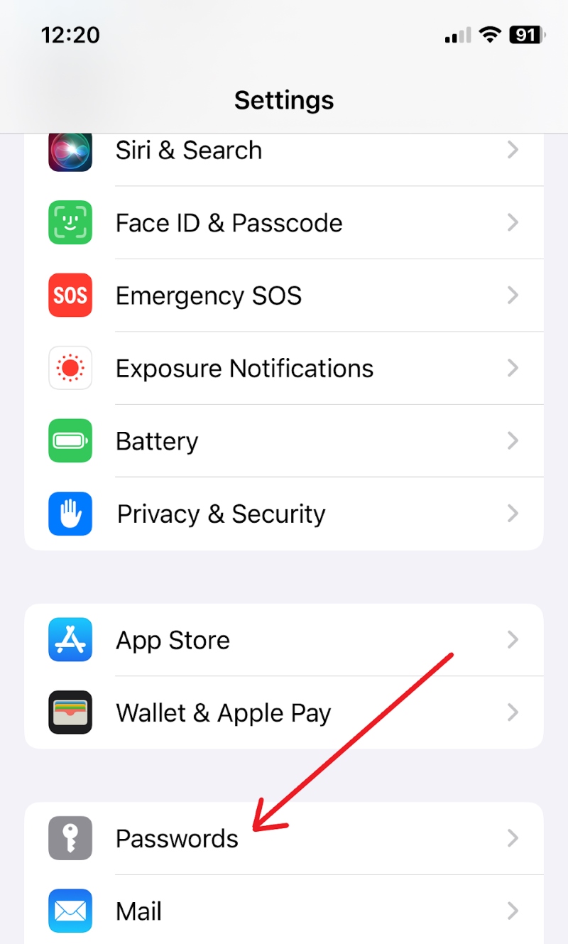 select the Passwords option on the iPhone Settings screen