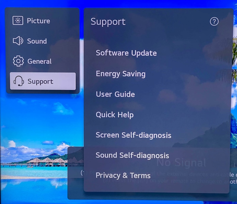 select the Support setting on the LG TV