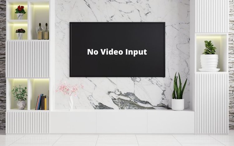 No video input