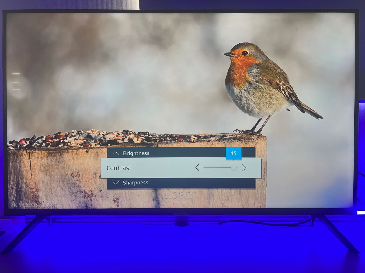 Samsung TV is displaying a video with a bird and a blue back light