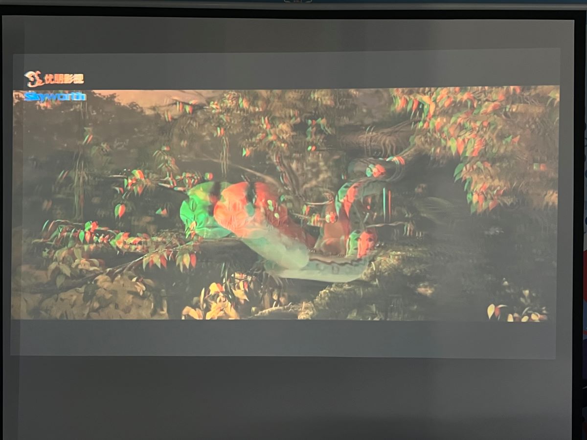 The 3D image on projector screen from the BenQ projector when user is not using 3D glasses