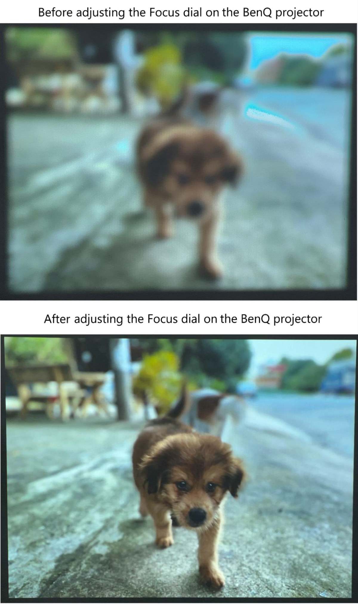 before and after adjusting the focus dial on the Benq projector