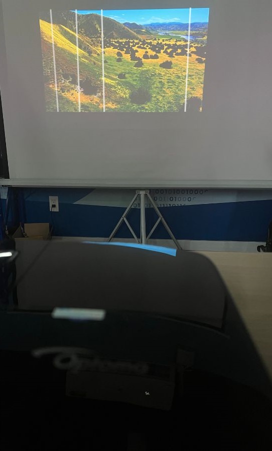 How to Fix Vertical Lines in Optoma Projectors: 5 Effective Fixes
