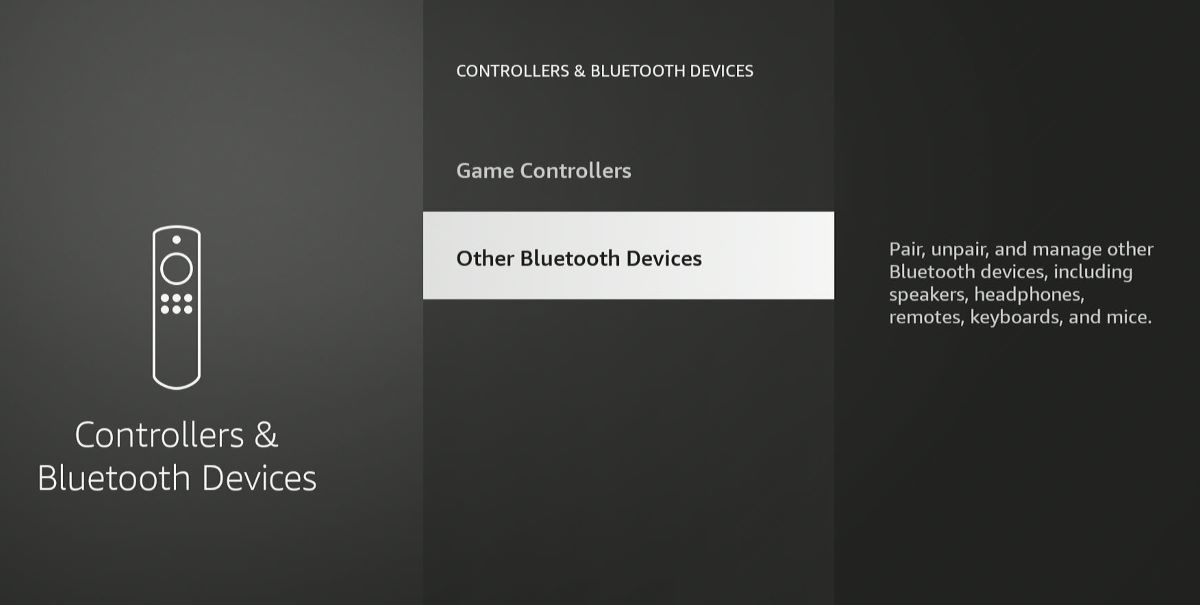 Other Bluetooth Devices is being highlighted with the white box on the Fire Stick interface