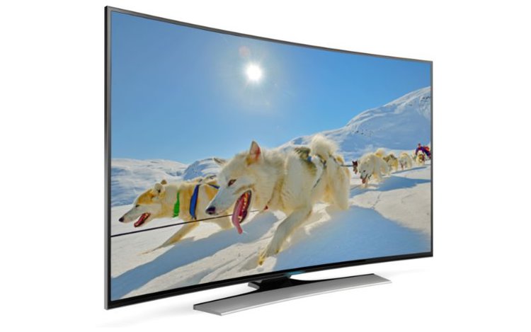 curved TV screen shows a lot of dogs walking on snow