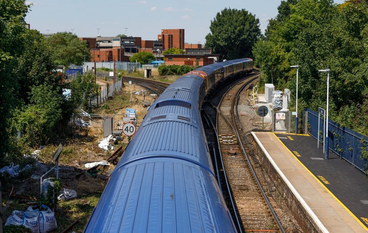 train and trees