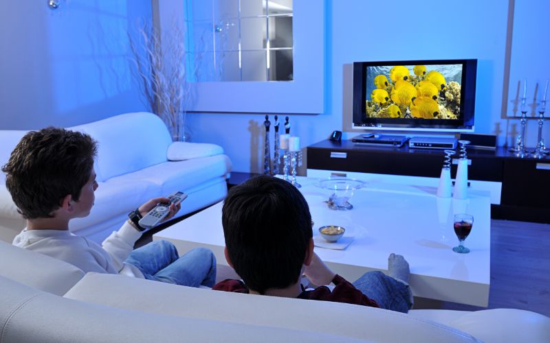 two boys enjoy watching a television program with a well connected FHD TV