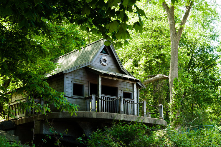 House surrounded by tree