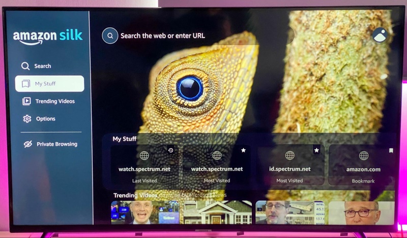 Silk browser home page on Samsung TV screen