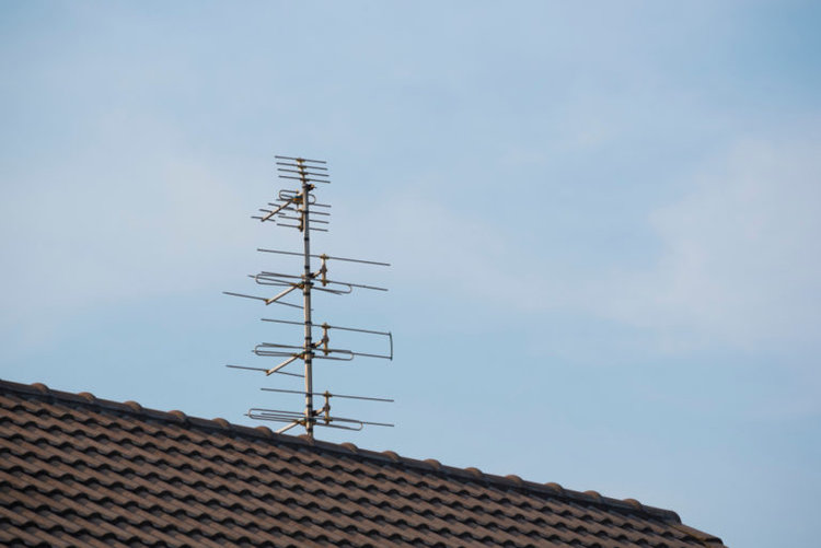 Do Trees Affect TV Antenna Reception? How to Enjoy Greenery Without Losing Your TV Channels