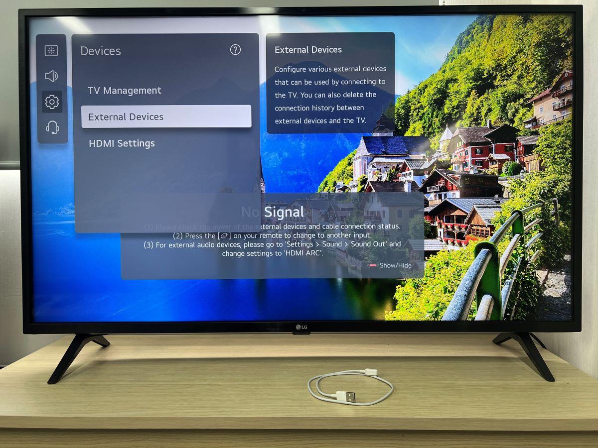 The external devices on LG TV