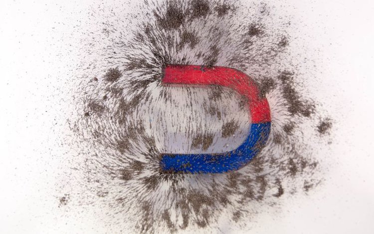 a magnetic field with iron dust caused by a magnet