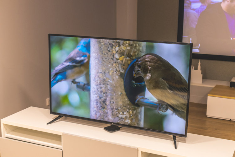 50 vs. 55 Inch TV: A Big Difference? - Pointer Clicker